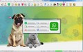 Programa PetShop + Agendamento + Vendas + Financeiro v5.0 Plus + WhatsApp